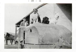 Theme Div-ref TT603- Photo 12,5cms X 9cms -arizona -etats Unis -agriculture-1956 -tracteurs - Tracteur -tractor Galion - - Trattori