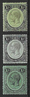 NYASALAND...KING GEORGE V..(1910-36..)....ALL 3 SHADES X 1/-....SG93.....SG93a......SG93b........MH... - Nyassaland (1907-1953)