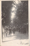 PHOTOGRAPHIE - Filles - Classe - Arbres - Carte Postale Ancienne - Photographie