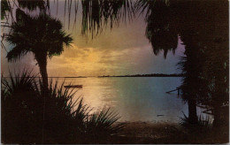 Florida St Petersburg Moonlight On Boca Ceiga Key Handcolored Albertype - St Petersburg