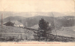 FRANCE - 88 - Massif Du Hohneck - Partie Orientale De La Chaîne Des Vosges - Carte Postale Ancienne - Other & Unclassified