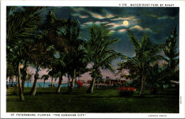 Florida St Petersburg Waterfront Park By Night Curteich - St Petersburg
