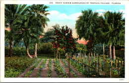 Florida A Truck Garden Surrounded By Tropical Floiage Curteich - St Petersburg