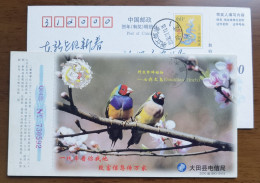 Gouldian Finch,Bird,China 2000 Rare And Exiguity Wildlife Series Advertising Pre-stamped Card - Passeri