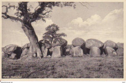 Rolde Hunnebed Ca. 1930 RY12994 - Dolmen & Menhire