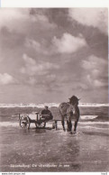 Terschelling Strandjutter In Zee RY 9614 - Terschelling