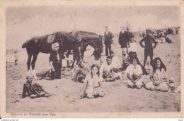 Katwijk Aan Zee Strand, Paard  RY13597 - Katwijk (aan Zee)