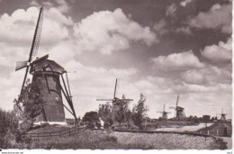 Kinderdijk  Molens RY13582 - Kinderdijk