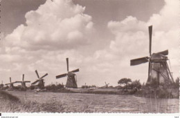 Kinderdijk Molens 1959 RY13581 - Kinderdijk