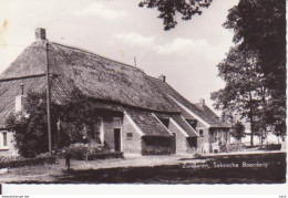 Zuidlaren Saksische Boerderij  RY13515 - Zuidlaren