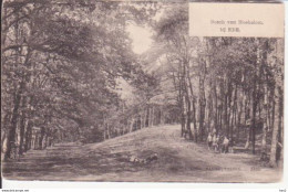 Ede Bos Van Hoekelum Ca. 1905 RY14690 - Ede