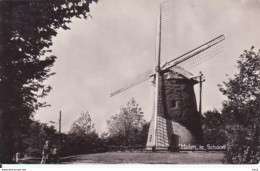 Schoorl Molen 1960 RY16043 - Schoorl