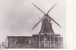 Koog A/d Zaan Molen De Pelikaan RY15885 - Zaanstreek