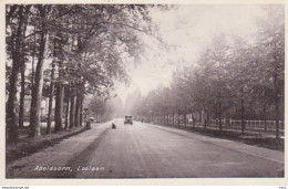 Apeldoorn Loolaan Ca. 1935 RY15480 - Apeldoorn