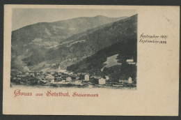 00596*AUSTRIA*ÖSTERREICH*SELZTHAL*1897 - Selzthal