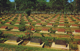 The View Of The Grave Yard Of European Prisonor Of World War 2nd .1941.1945.at Kanchatta Buri Province Thailand - Thaïlande