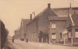 Ellezelles - Institut Des Soeurs De N-D Du Bois Et Perpétuel Secours - Vue Générale Des Bâtiments - Ellezelles