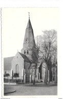Willebroek Kerk Eglise  L. Thomas  P1209 - Willebroek