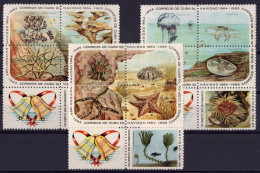 Cuba 2965, Christmas, Marine Life, Sea Star, Corals, 15val - Unused Stamps