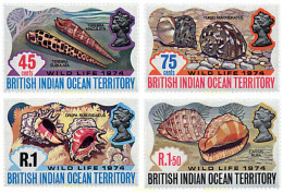 72854 MNH OCEANO INDICO BRITANICO 1974 CONCHAS - Territoire Britannique De L'Océan Indien