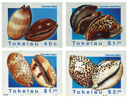45627 MNH TOKELAU 1996 CONCHAS - Tokelau