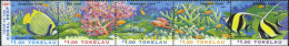 147656 MNH TOKELAU 1997 AÑO DE LOS ARRECIFES DEL CORAL - Tokelau