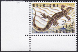 BELGIQUE, 1965, Reptile, Varan ( COB 1346V1**) - 1961-1990