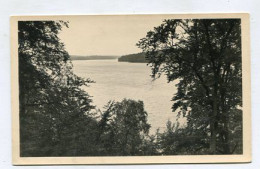 AK150991 GERMANY - Neuglobsow - Blick Vom Fenchelberg Auf Den Stechlinsee - Neuglobsow