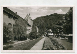 AK151005 GERMANY - Wolfach - Partie Am Schloß - Wolfach