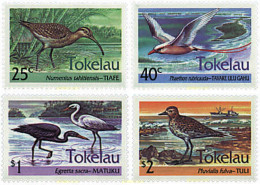 37260 MNH TOKELAU 1993 AVES - Tokelau