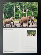 Centrafrique Central Africa 2019 Mi. 8630 Stationery Entier Ganzsache Elephant Elefant Faune Fauna - Eléphants