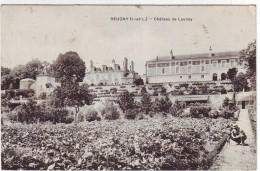 37. REUGNY . Château De Launay . - Reugny