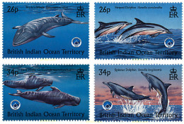 57011 MNH OCEANO INDICO BRITANICO 1998 AÑO INTERNACIONAL DE LOS OCEANOS - Territorio Británico Del Océano Índico