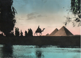 CAIRO - EVENING NEAR PYRAMIDS - F.G. - Pyramids