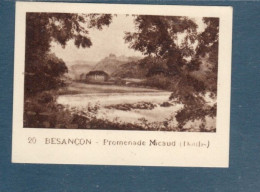 Chromo Besançon Promenade De Micaud Doubs  60 X 45 Mm  Pub: Chocolat Julien Damoy Papier épais   2 Scans - Otros & Sin Clasificación