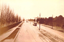 Romania Bucuresti Surface Public Transport Tram - Bus & Autocars