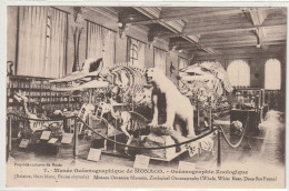 MONACO 70 : édit. Giletta N° 7 : Musée Océanographique , Zoologique - Museo Oceanográfico