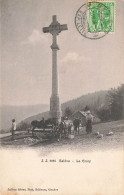 Salève , Haute Savoie * 1908 * Un Coin Et La Croix * Villageois Mules Mulets âne Anes - Sonstige & Ohne Zuordnung