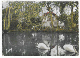 CPSM VILLECRESNES, LES CYGNES SUR L'ETANG, VAL DE MARNE 94 - Villecresnes