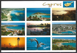 CHYPRE. Carte Postale écrite. - Chypre