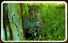 SCHEDA TELEFONICA PHONECARD DISNEY U.S.A. B.E.L. INTERNATIONAL ANIMALS LEOPARD - Verzamelingen