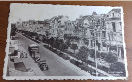 Belgique KNOCKE Sur MER  Avenue Lippens Lippenslaan Chemist CarS Truck Used 1952 - Knokke