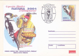 ANIMALS, BIRDS, GREAT SPOTTED WOODPECKER, MUSHROOM, COVER STATIONERY, 2004, ROMANIA - Specht- & Bartvögel