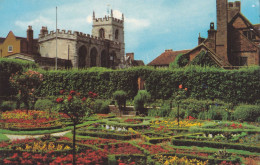 ELIZABETHAN  KNOTT GARDEN,NEW PLACE ,STRATFORD - UPON -AVON UNITED KINGDOM. - Stratford Upon Avon