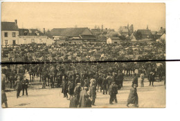 CPA. CHER. D18. Grandes Foires De BAUGY .Chevaux De Toutes Catégories . Moutons De La Race Berrichonne. Gare D'AVOR - Baugy