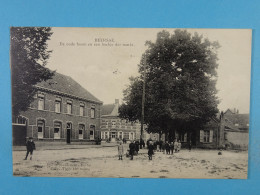 Beerse De Oude Boom En Een Hoekje Der Markt - Beerse