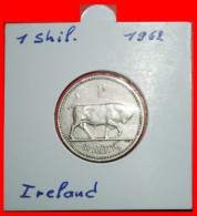 * GREAT BRITAIN (1951-1968): IRELAND  1 SHILLING 1962 BULL! IN HOLDER! ·  LOW START · NO RESERVE! - Irlande