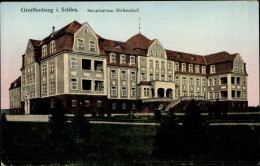 Leuchtfenster CPA Gryfów Śląski Greiffenberg Schlesien, Sanatorium Birkenhof - Schlesien