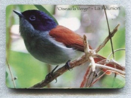 La Réunion - Beau Magnet  7 X 10 Cm - OISEAU LA VIERGE - Tierwelt & Fauna