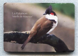 La Réunion - Beau Magnet  7 X 10 Cm - LE MERLE DE MAURICE - Tierwelt & Fauna